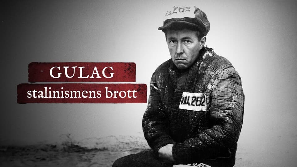 Programbild