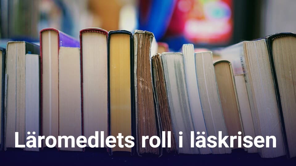 Programbild