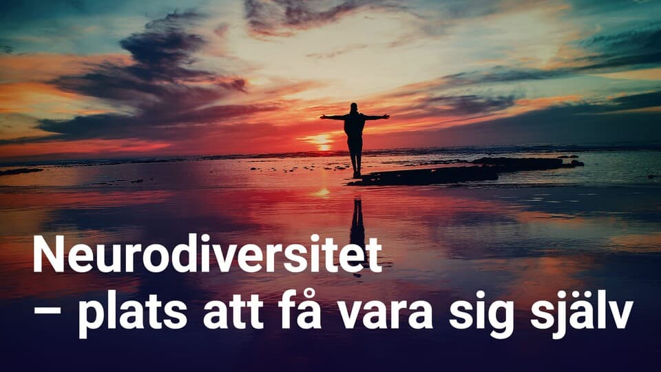 Programbild