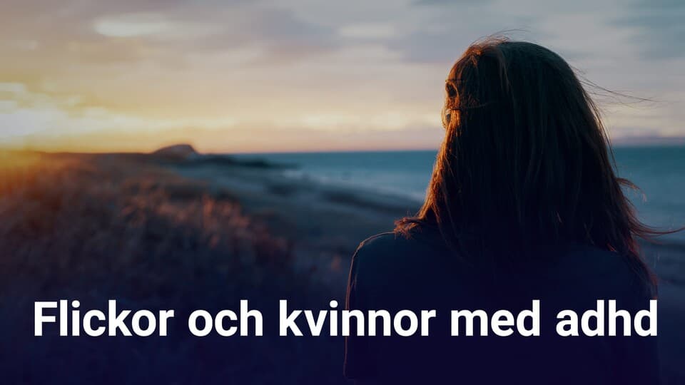 Programbild