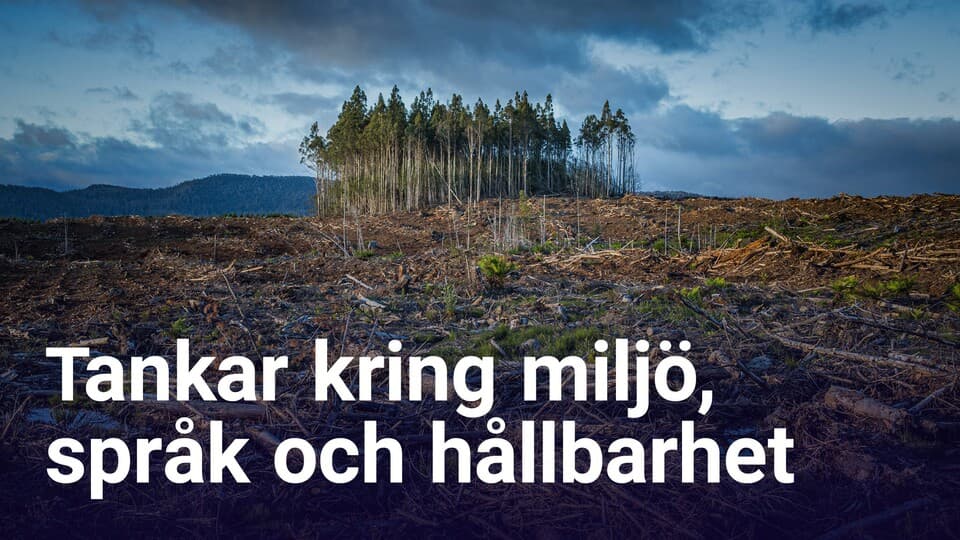 Programbild