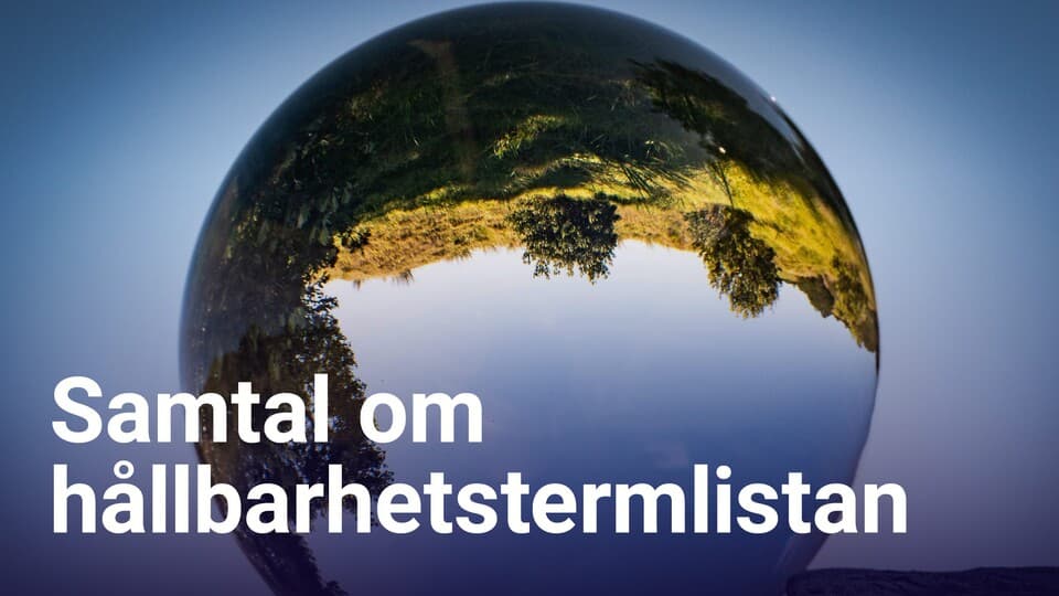 Programbild