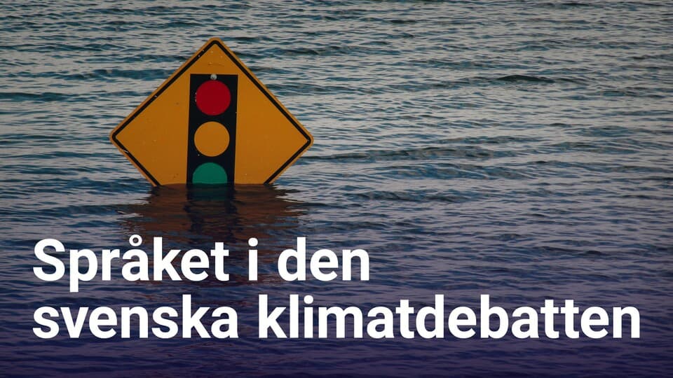 Programbild