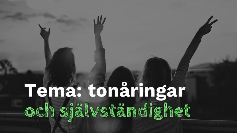 Programbild