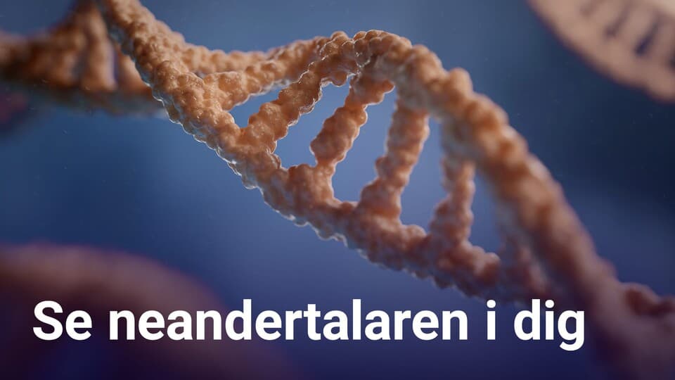 Programbild