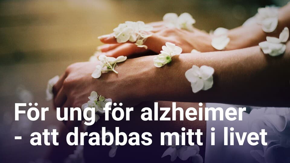 Programbild