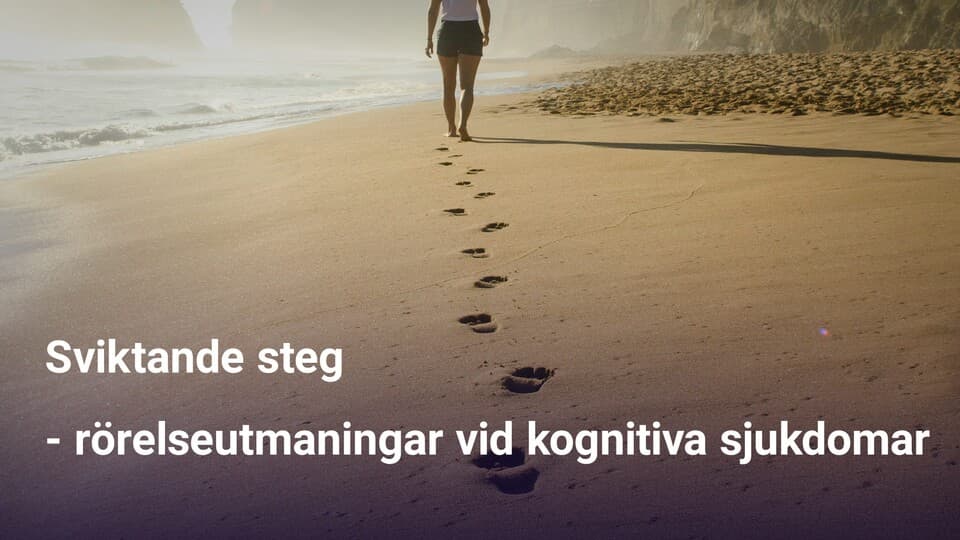 Programbild