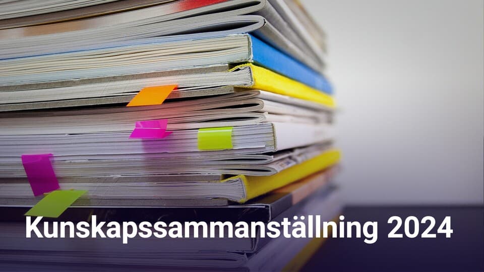 Programbild