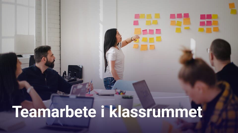 Programbild