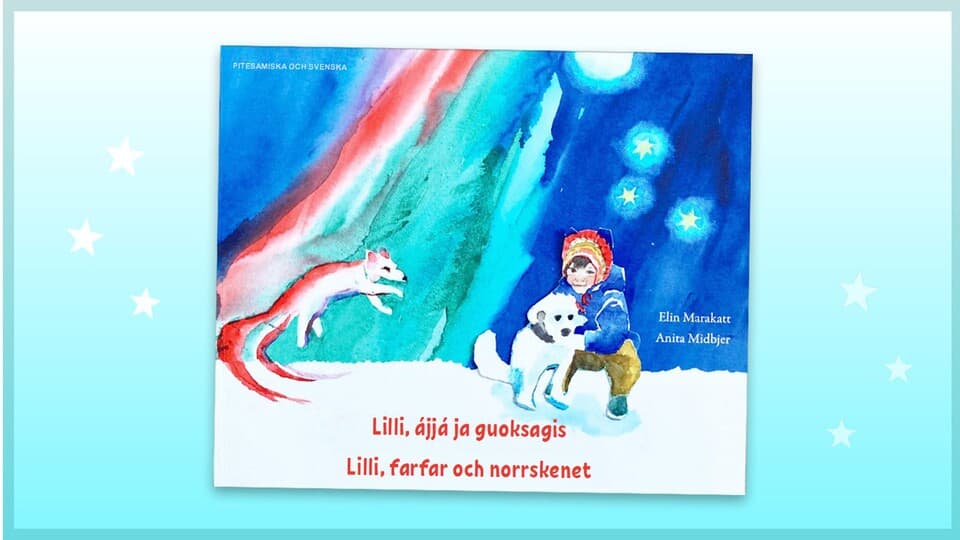 Programbild