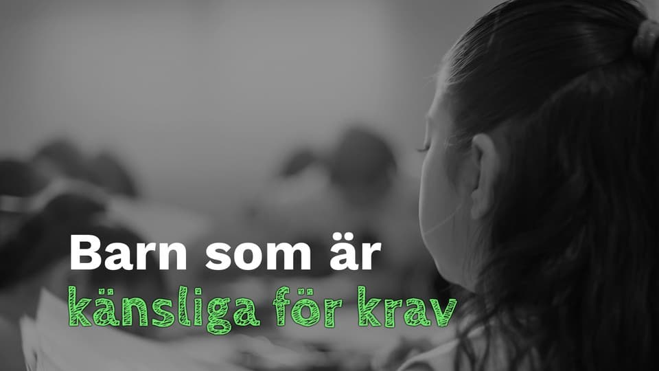 Programbild