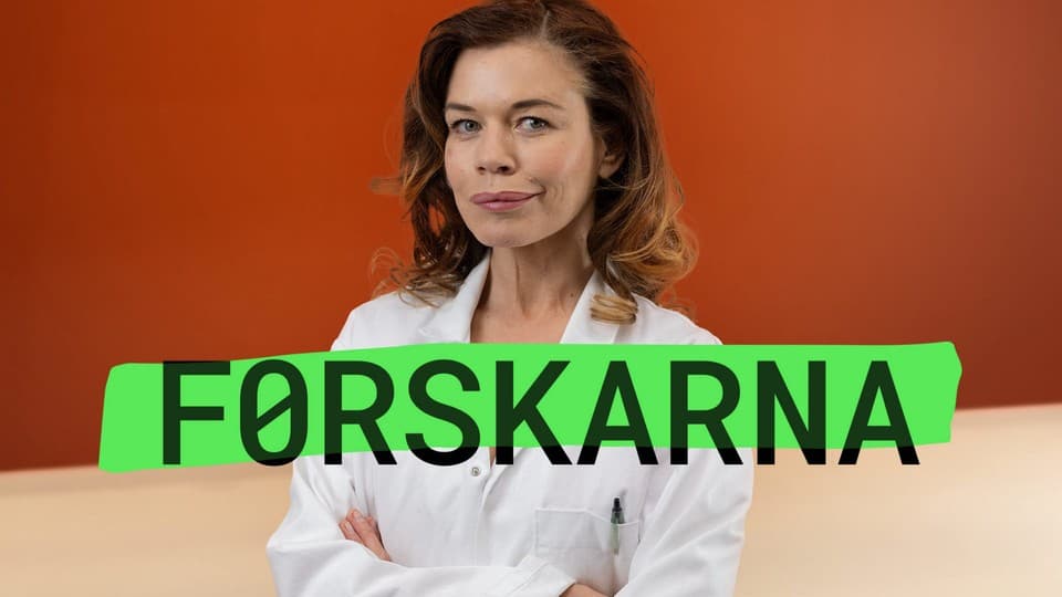 Programbild