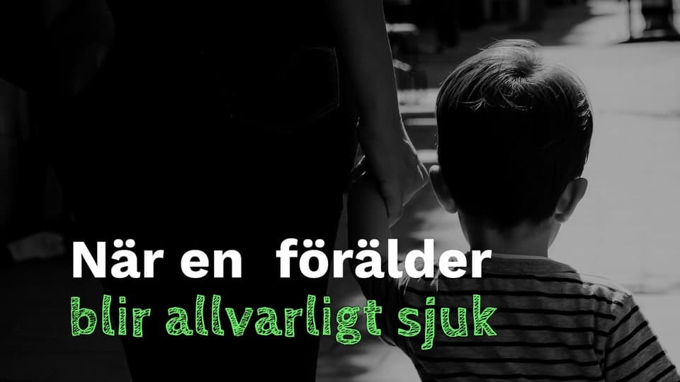 Programbild
