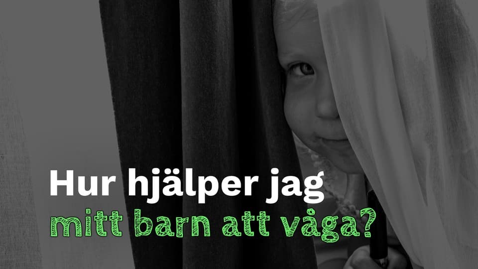 Programbild