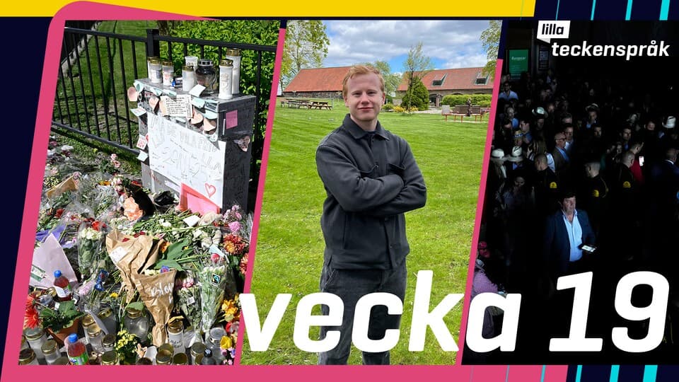 Programbild