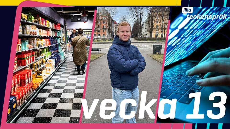 Programbild