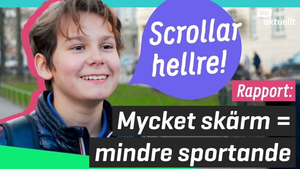 Programbild