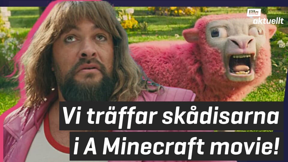 Programbild