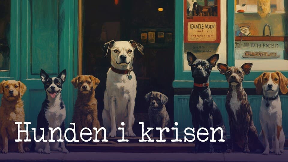Programbild