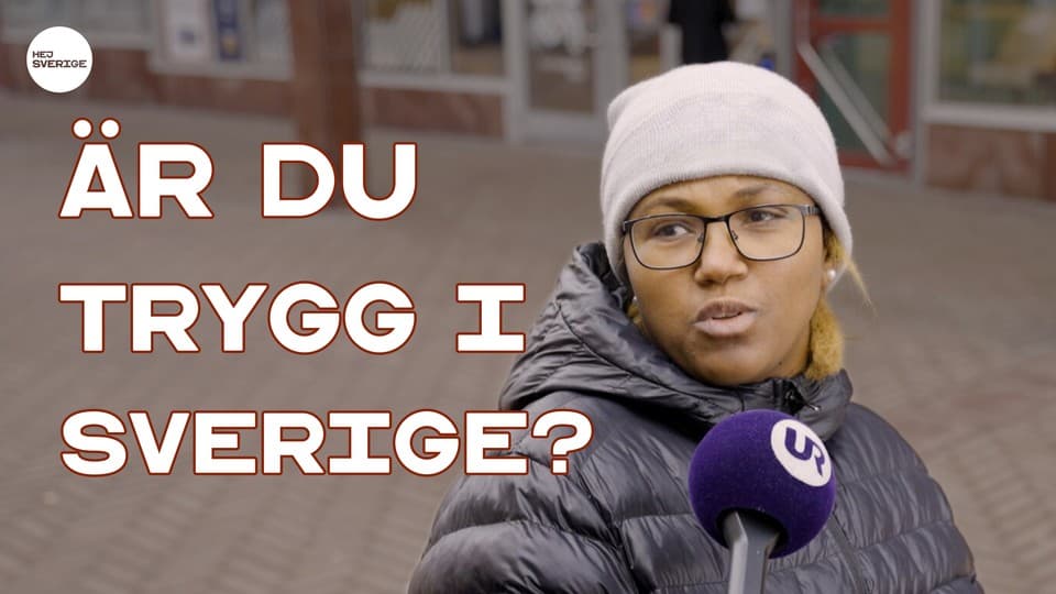 Programbild