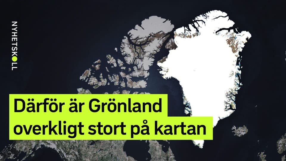 Programbild