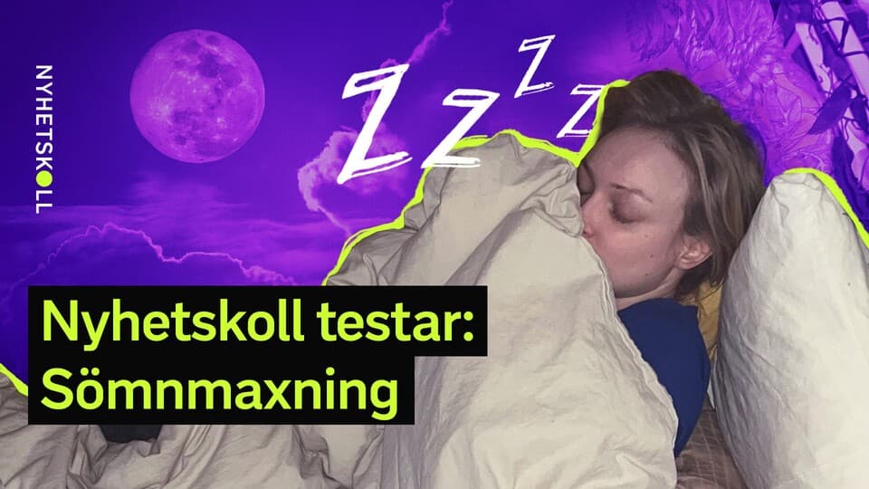 Programbild