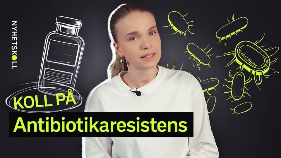 Programbild